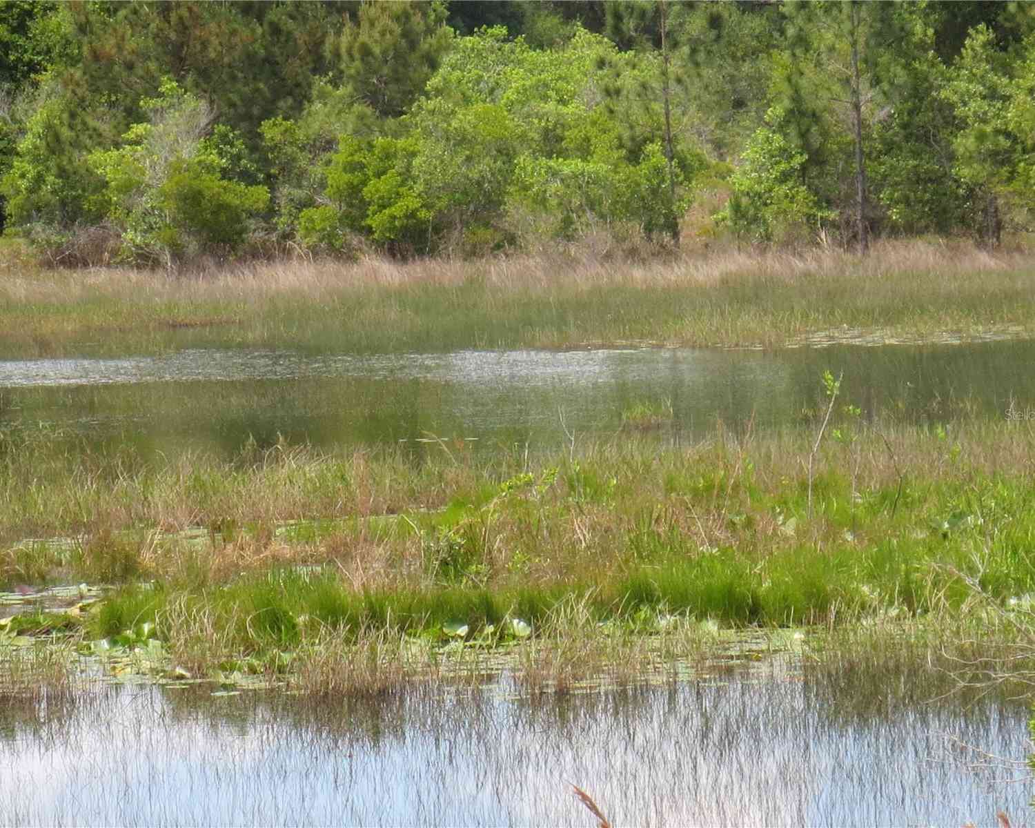 16789 SE 69th Lane, OCKLAWAHA, Florida image 13