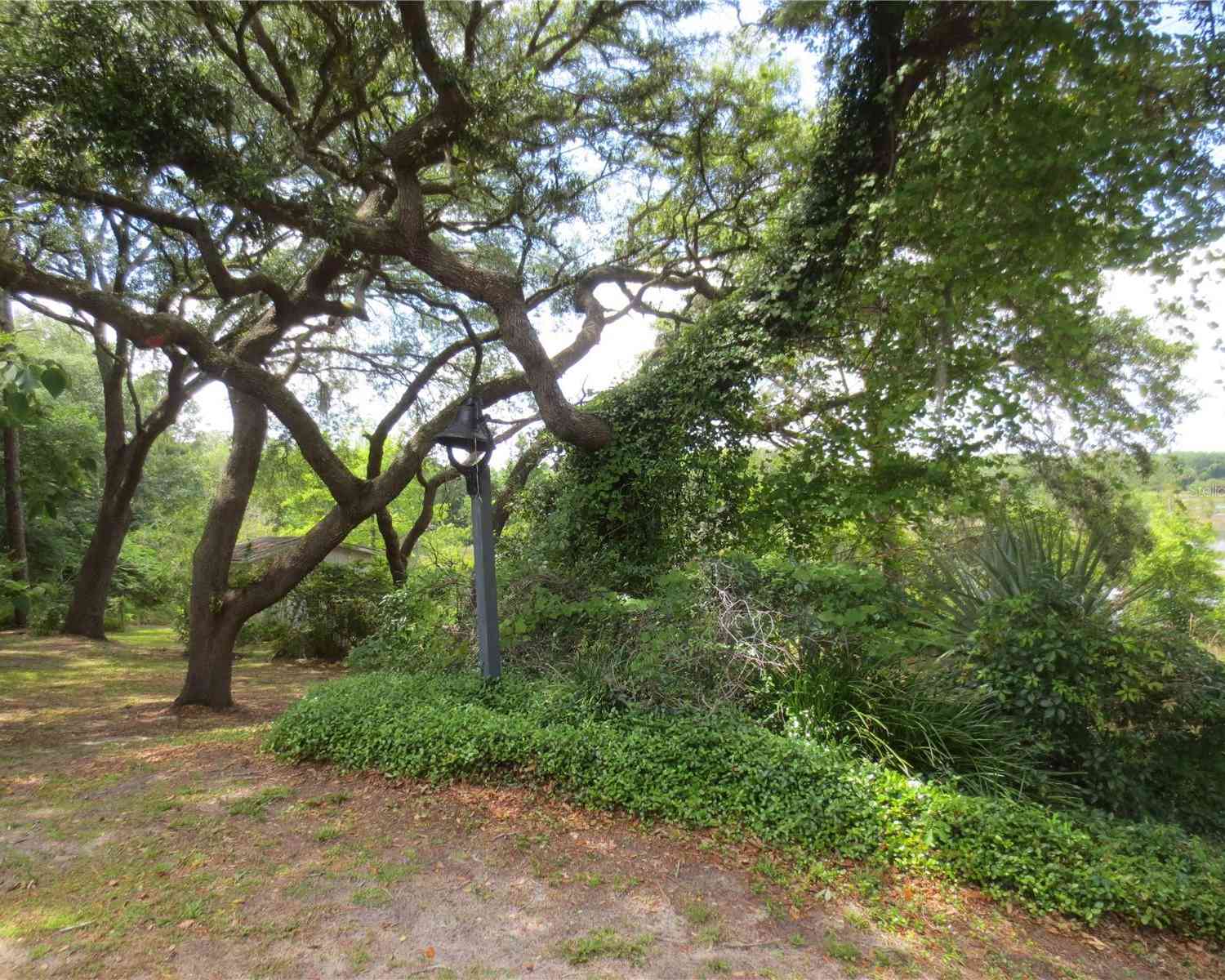 16789 SE 69th Lane, OCKLAWAHA, Florida image 15