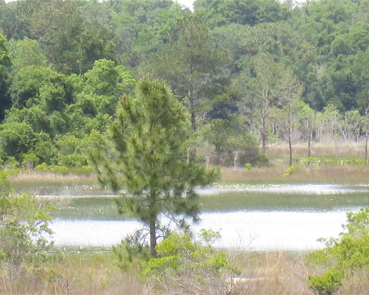16789 SE 69th Lane, OCKLAWAHA, Florida image 11