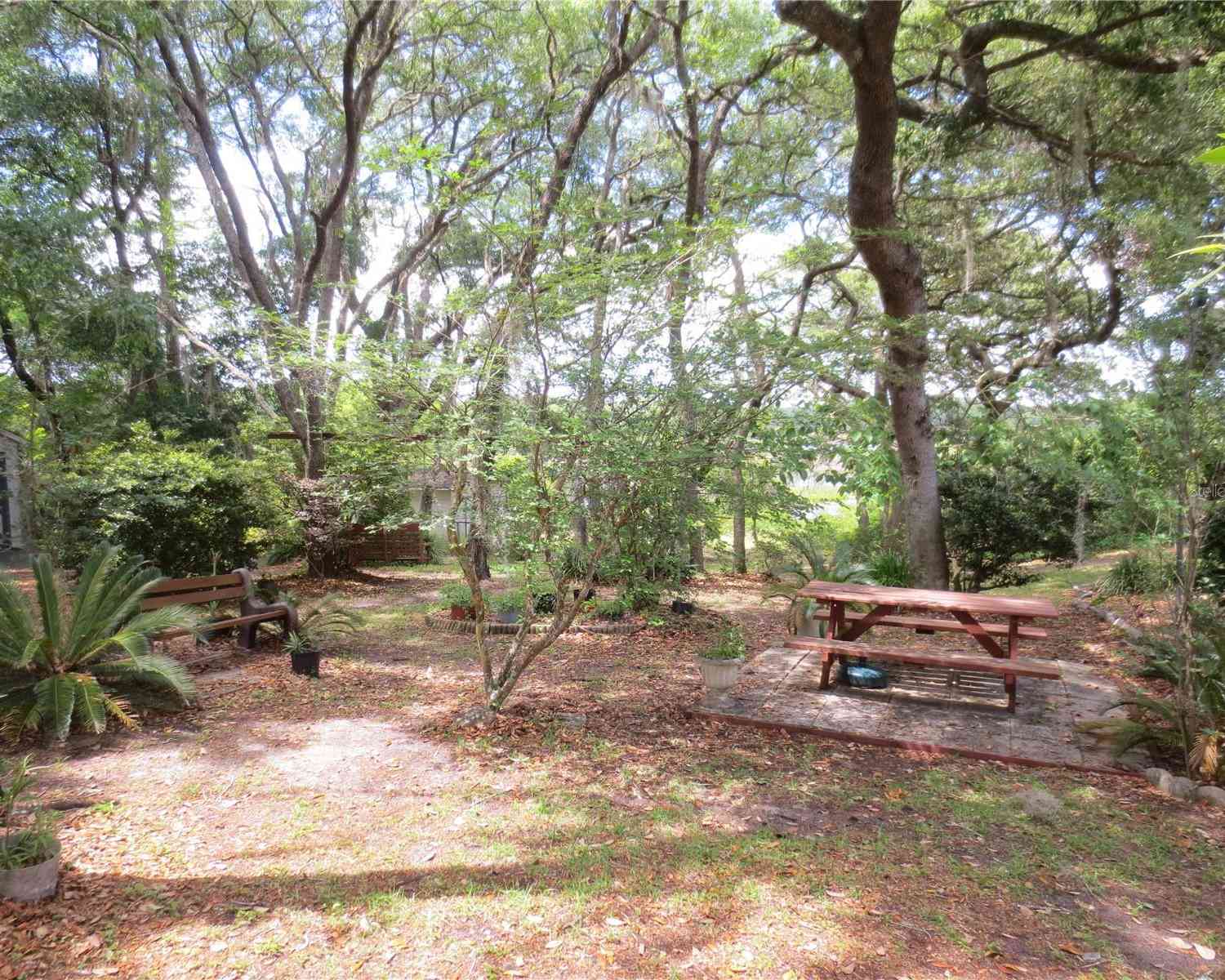 16789 SE 69th Lane, OCKLAWAHA, Florida image 21