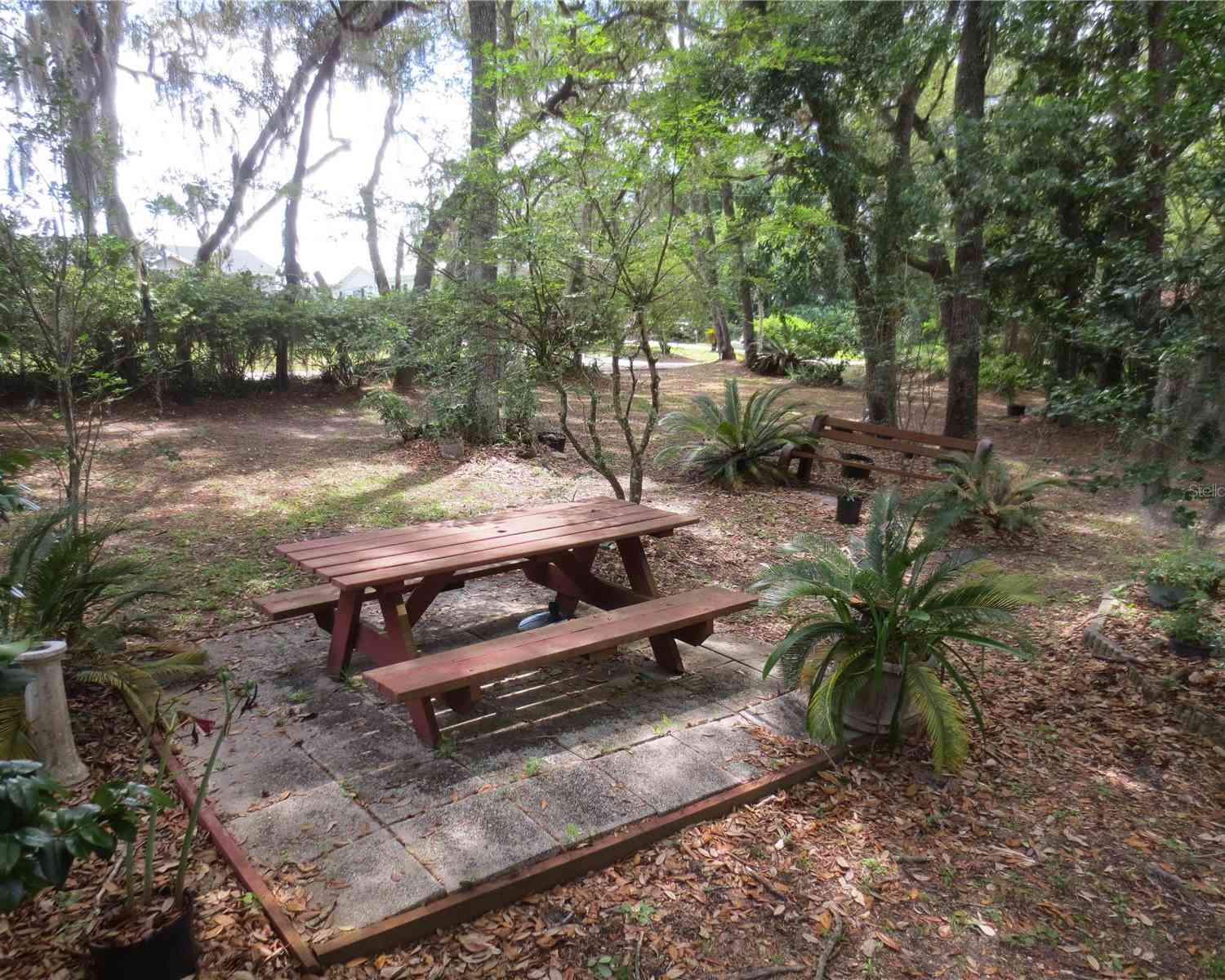 16789 SE 69th Lane, OCKLAWAHA, Florida image 18