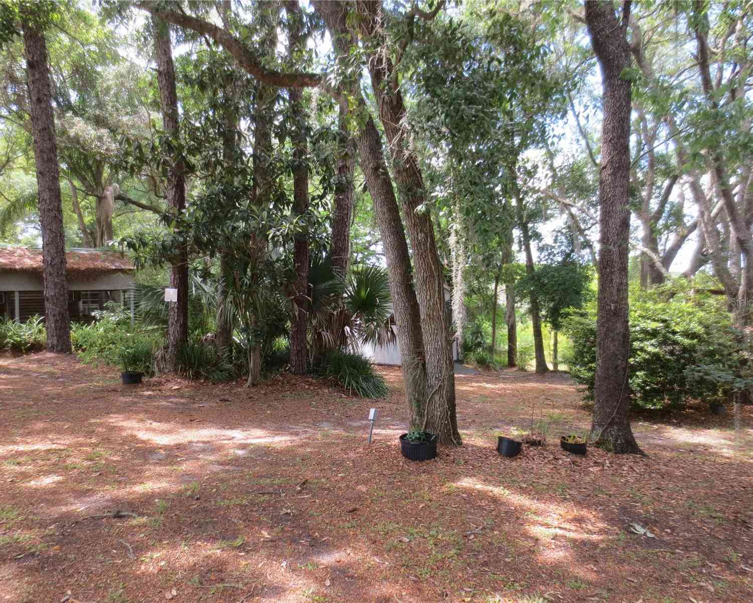 16789 SE 69th Lane, OCKLAWAHA, Florida image 23