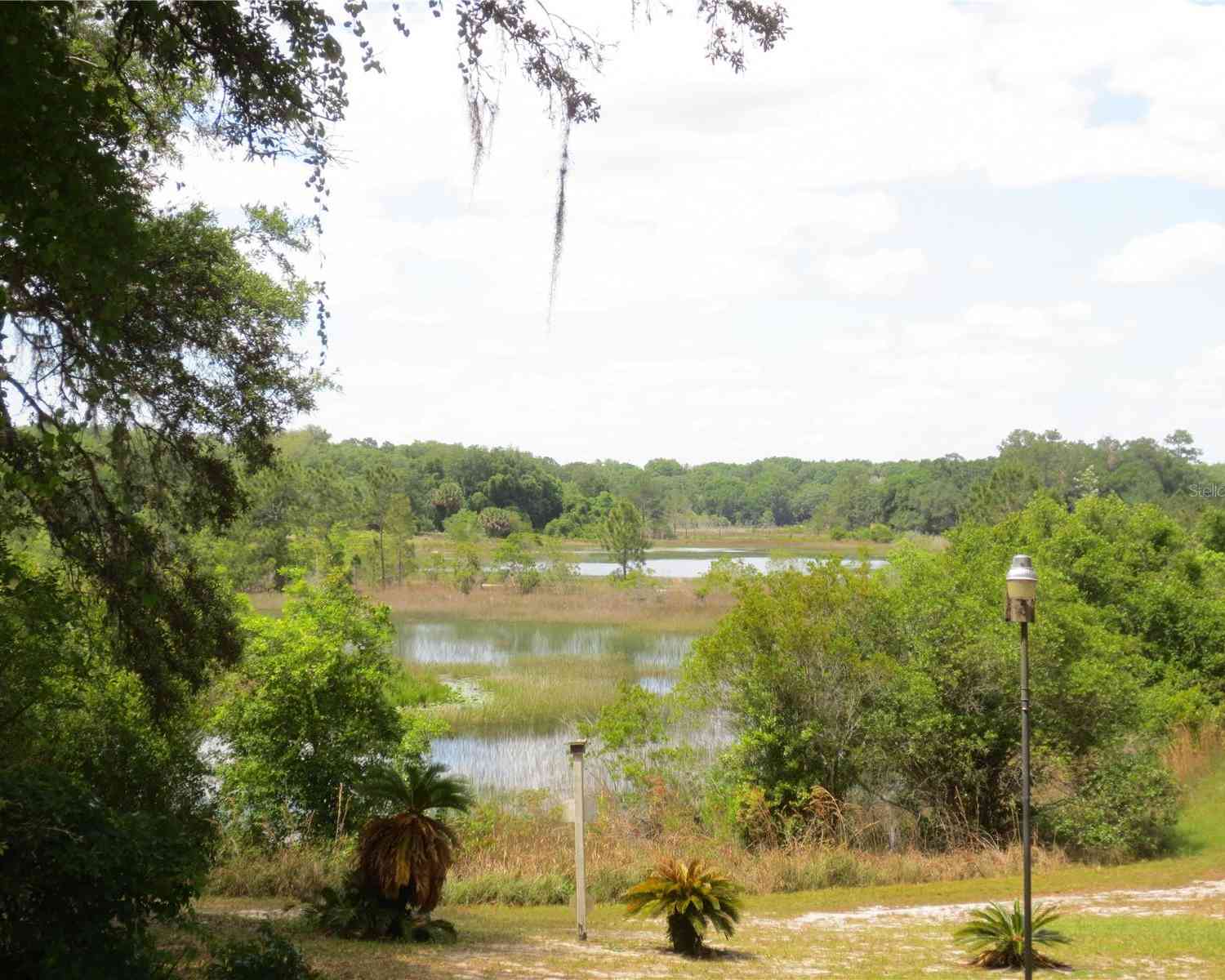 16789 SE 69th Lane, OCKLAWAHA, Florida image 10