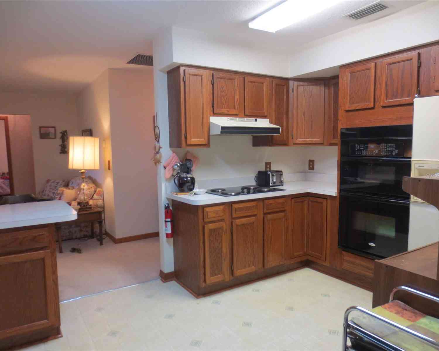 16789 SE 69th Lane, OCKLAWAHA, Florida image 43