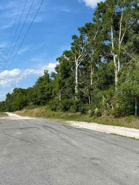 Magnolia Avenue, ORANGE CITY, Florida image 3