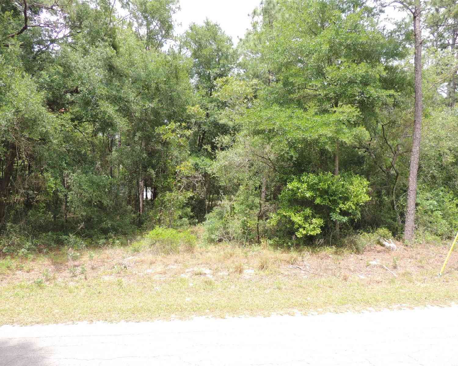 15955 NE 13th Street, WILLISTON, Florida image 6
