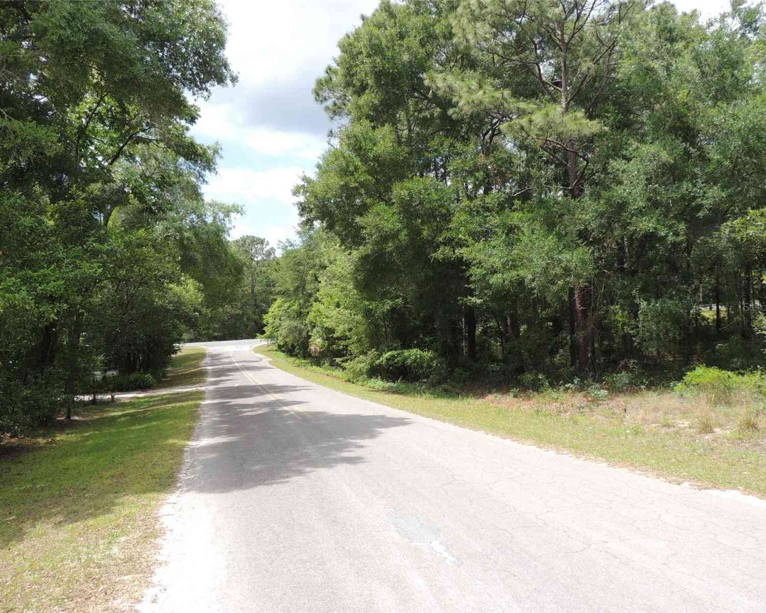 15955 NE 13th Street, WILLISTON, Florida image 3