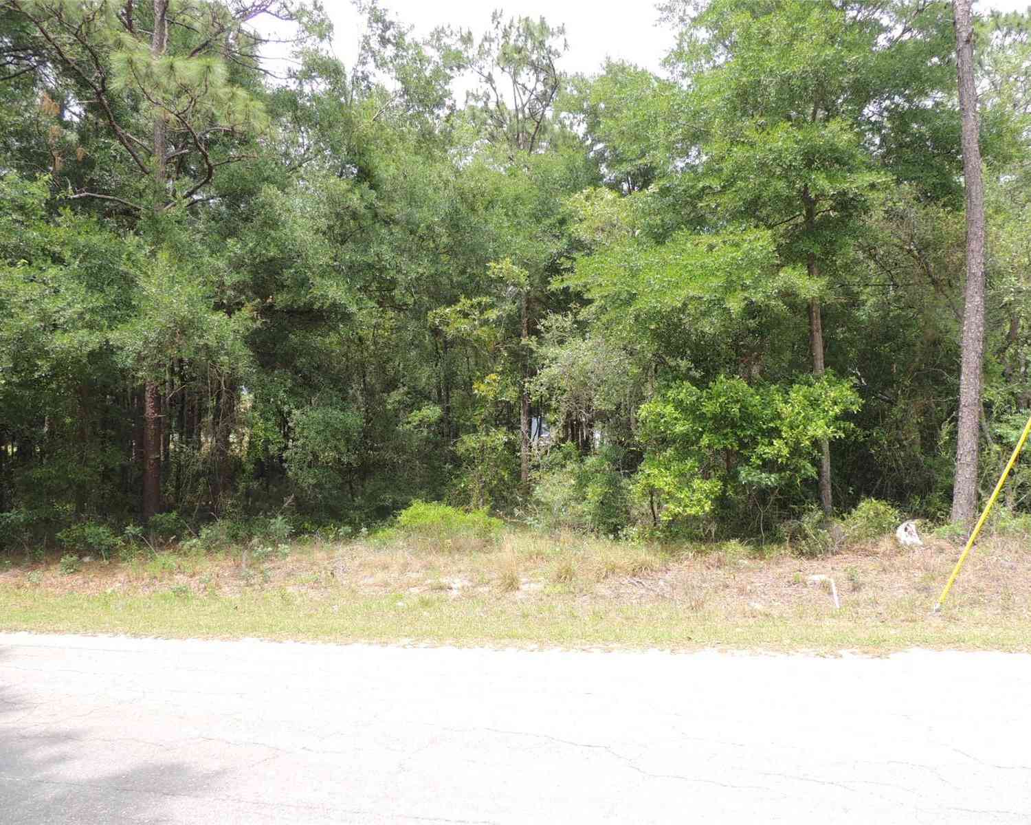 15955 NE 13th Street, WILLISTON, Florida image 1