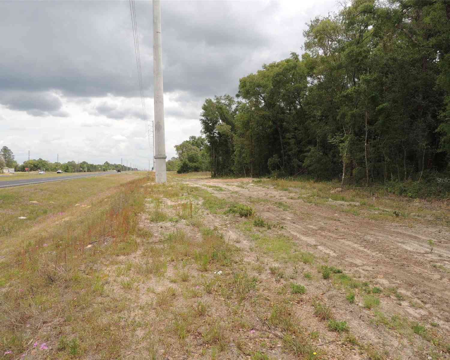 Tbd NE Highway 27 Alt, WILLISTON, Florida image 4