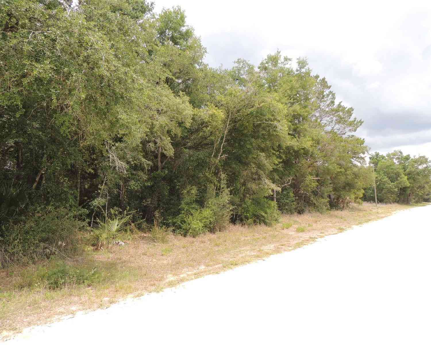 Tbd NE Highway 27 Alt, WILLISTON, Florida image 5