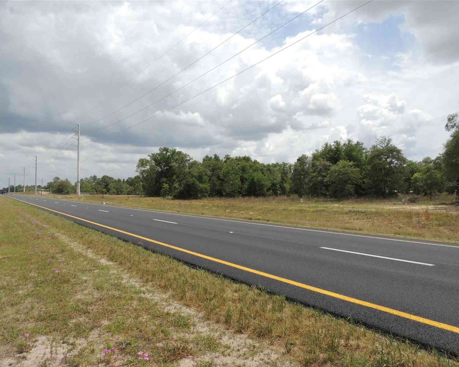 Tbd NE Highway 27 Alt, WILLISTON, Florida image 7