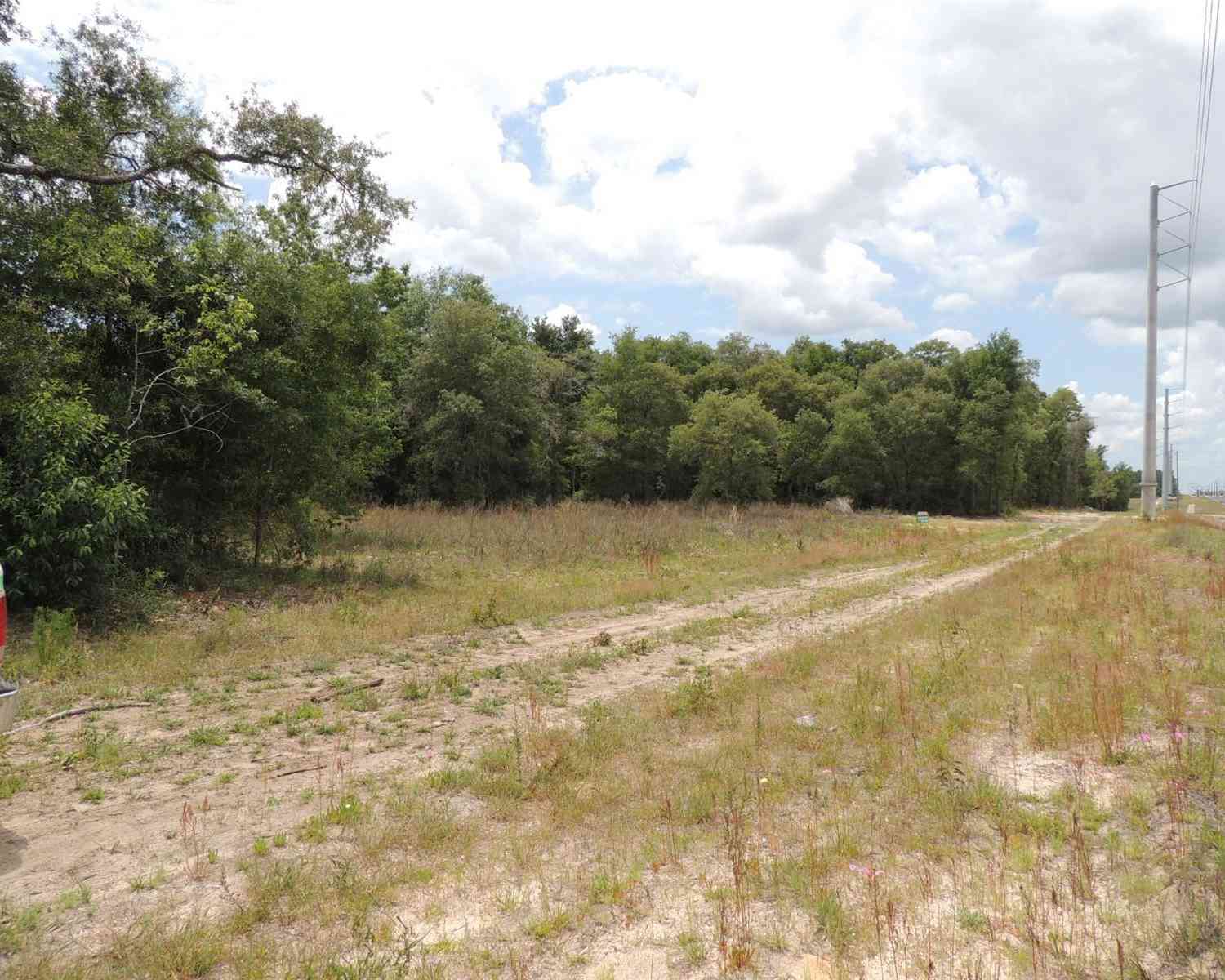 Tbd NE Highway 27 Alt, WILLISTON, Florida image 3