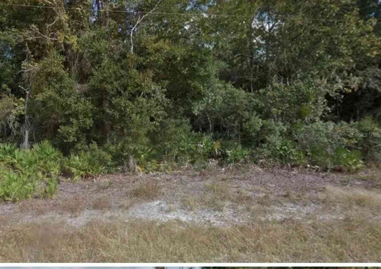 Mitchell Avenue, MIMS, Florida image 3
