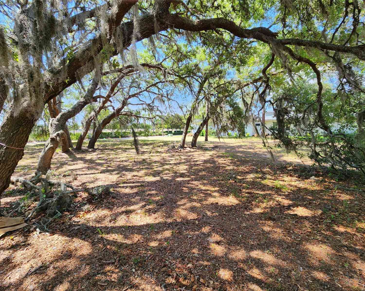 1144 Bellamare Trail, TRINITY, Florida image 9