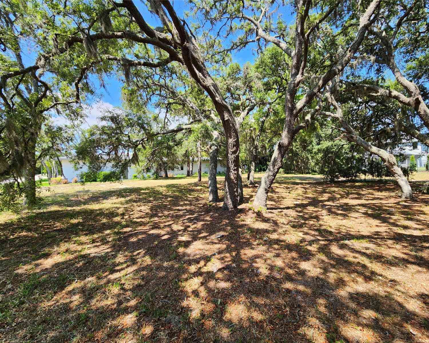 1144 Bellamare Trail, TRINITY, Florida image 8