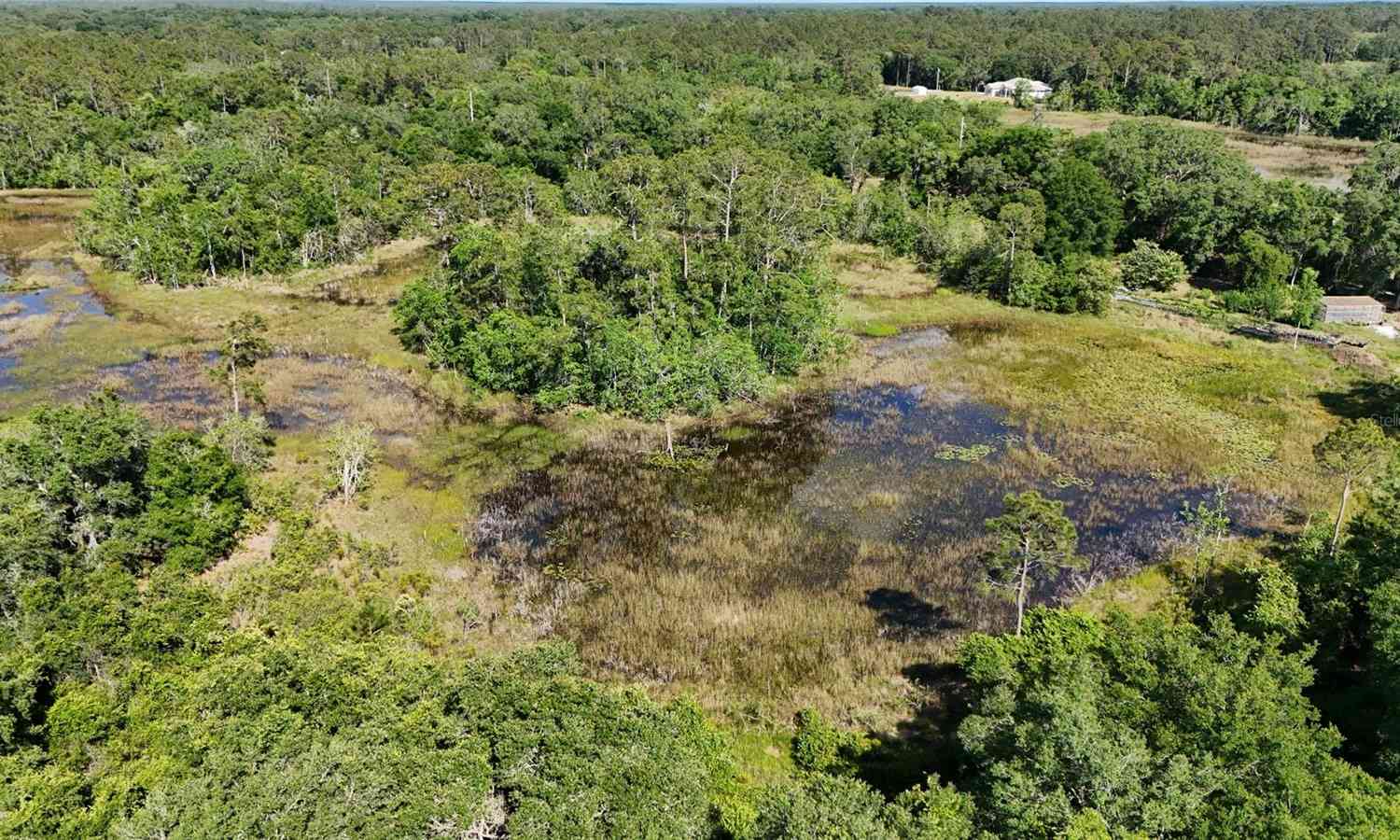 TBD 170th SE Avenue Road, OCKLAWAHA, Florida image 34