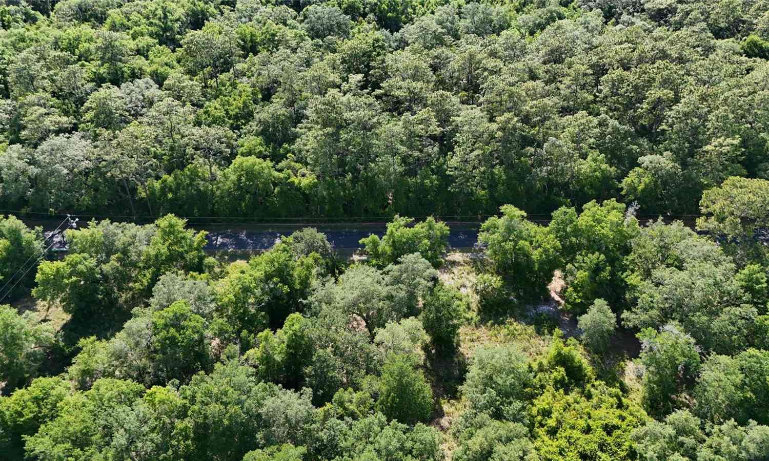 TBD 170th SE Avenue Road, OCKLAWAHA, Florida image 38
