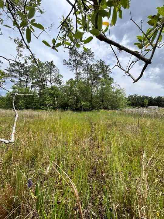 TBD 170th SE Avenue Road, OCKLAWAHA, Florida image 26