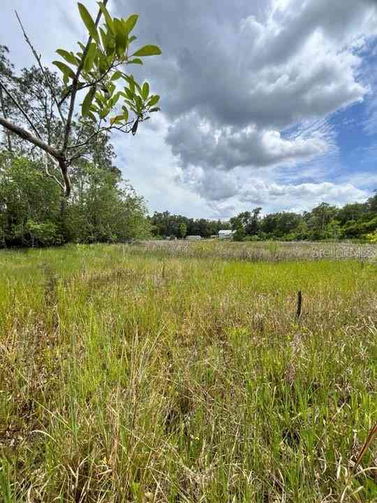 TBD 170th SE Avenue Road, OCKLAWAHA, Florida image 27