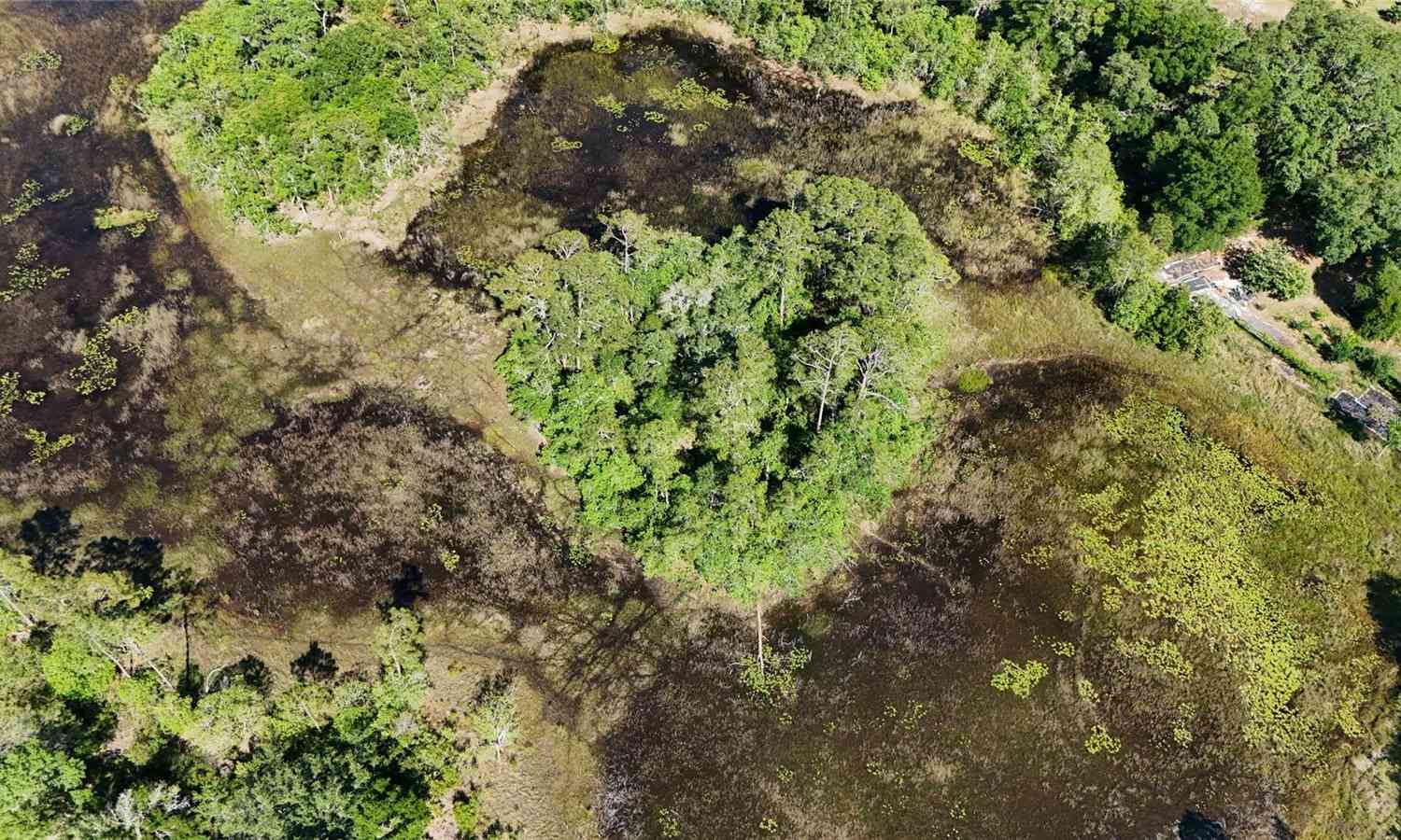 TBD 170th SE Avenue Road, OCKLAWAHA, Florida image 3