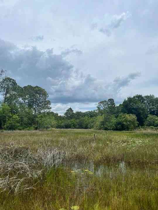 TBD 170th SE Avenue Road, OCKLAWAHA, Florida image 22