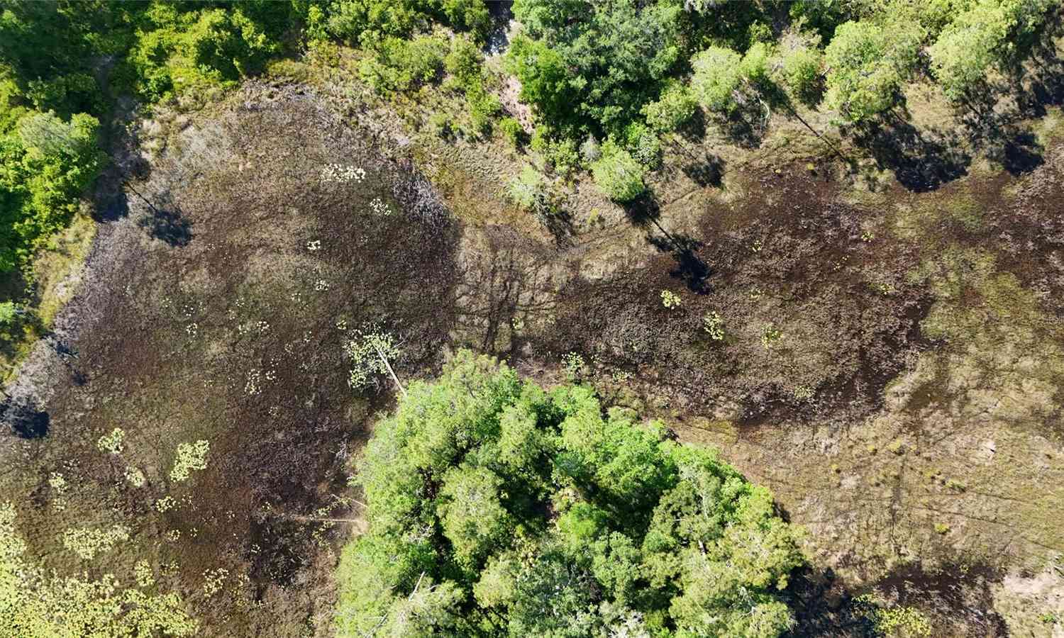 TBD 170th SE Avenue Road, OCKLAWAHA, Florida image 36