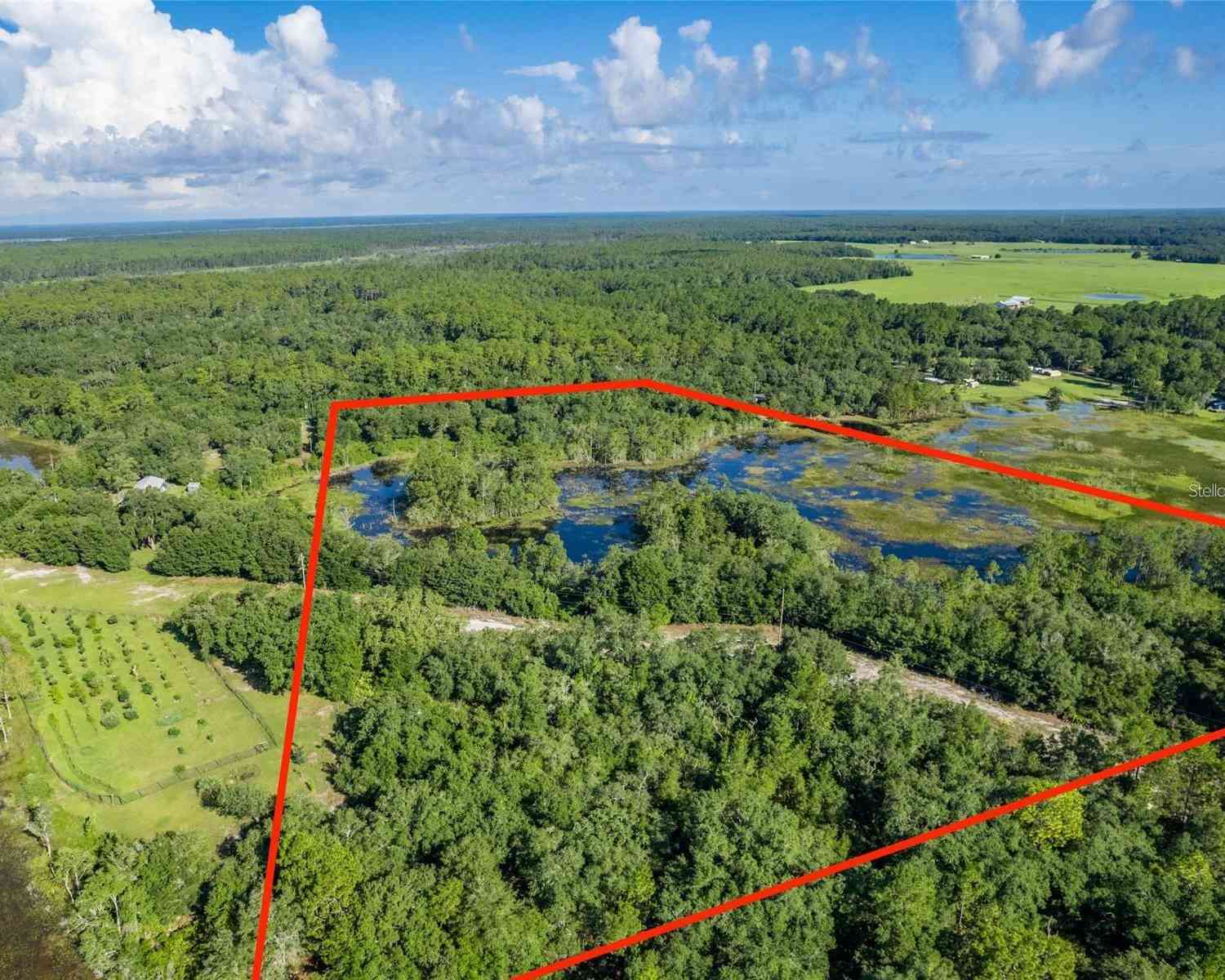 TBD 170th SE Avenue Road, OCKLAWAHA, Florida image 2