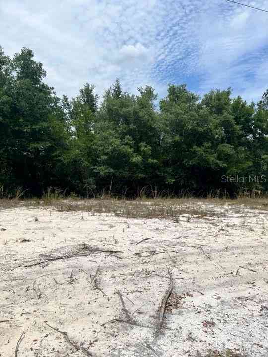 TBD 170th SE Avenue Road, OCKLAWAHA, Florida image 19