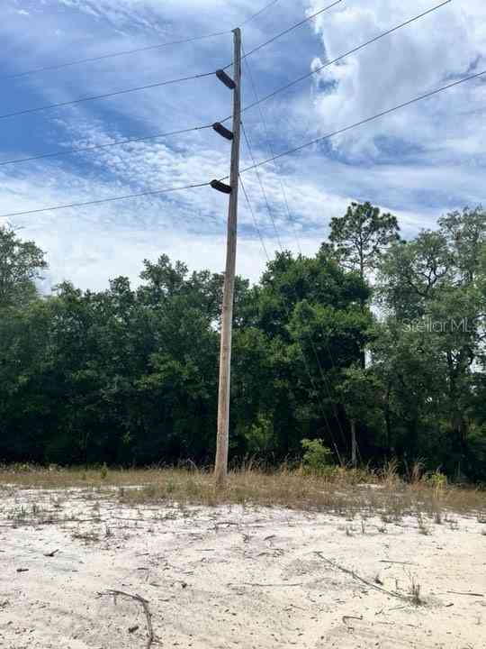 TBD 170th SE Avenue Road, OCKLAWAHA, Florida image 18
