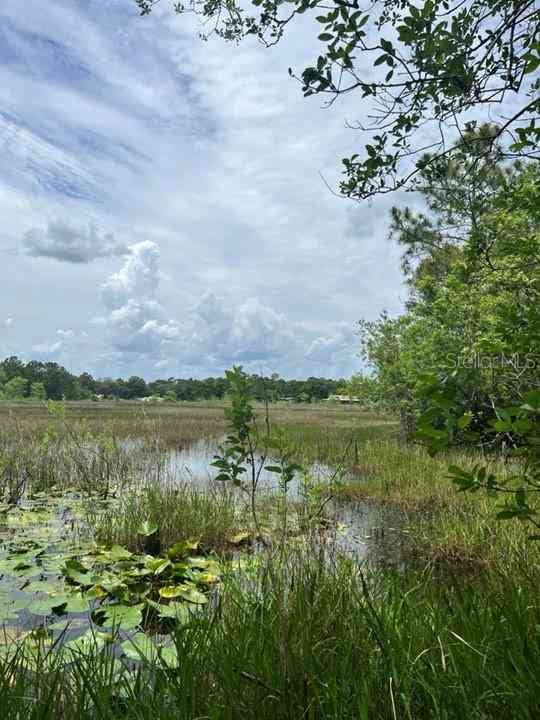 TBD 170th SE Avenue Road, OCKLAWAHA, Florida image 24