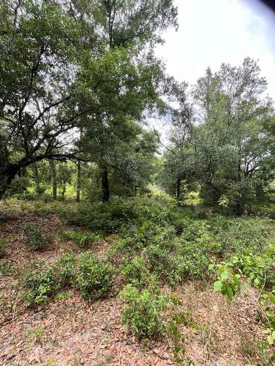 TBD 170th SE Avenue Road, OCKLAWAHA, Florida image 10