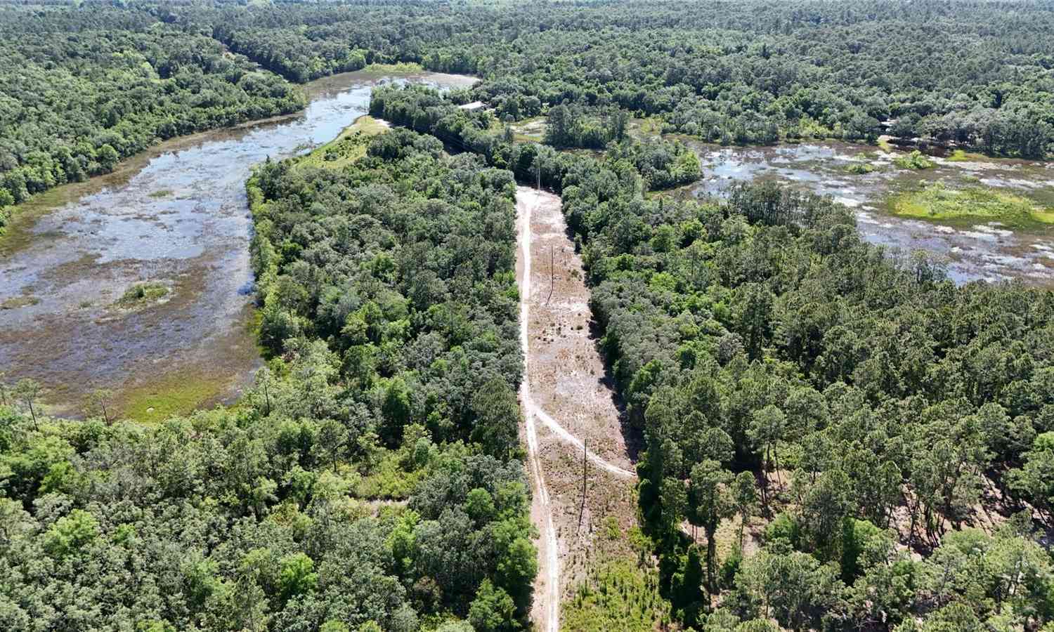 TBD 170th SE Avenue Road, OCKLAWAHA, Florida image 31