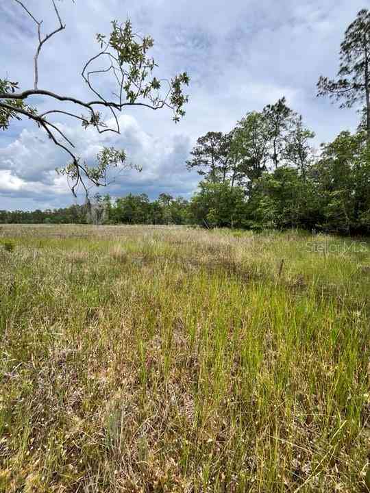 TBD 170th SE Avenue Road, OCKLAWAHA, Florida image 28