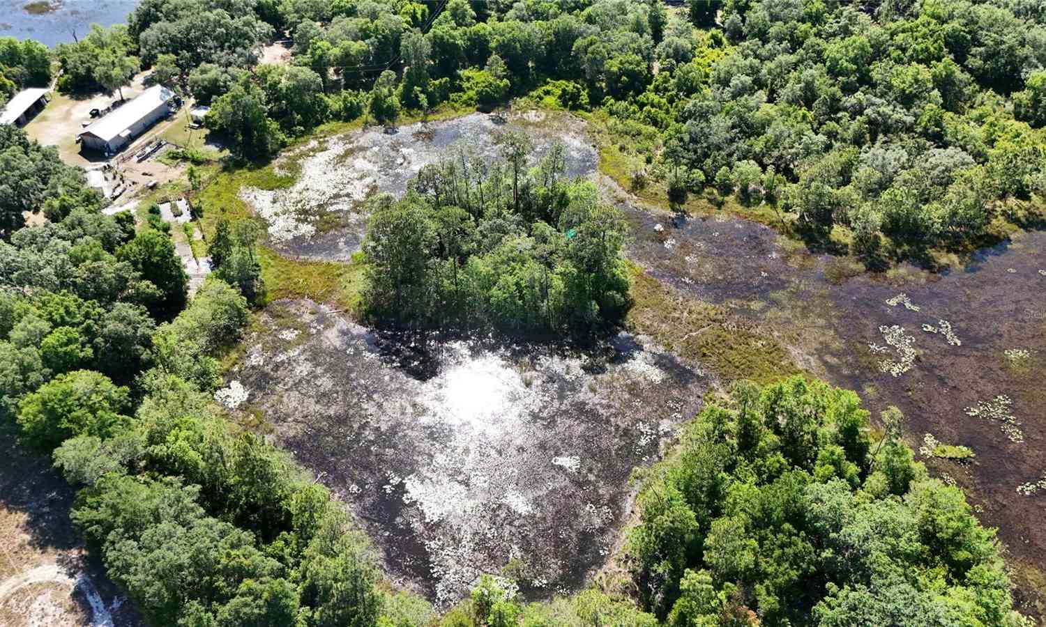 TBD 170th SE Avenue Road, OCKLAWAHA, Florida image 33