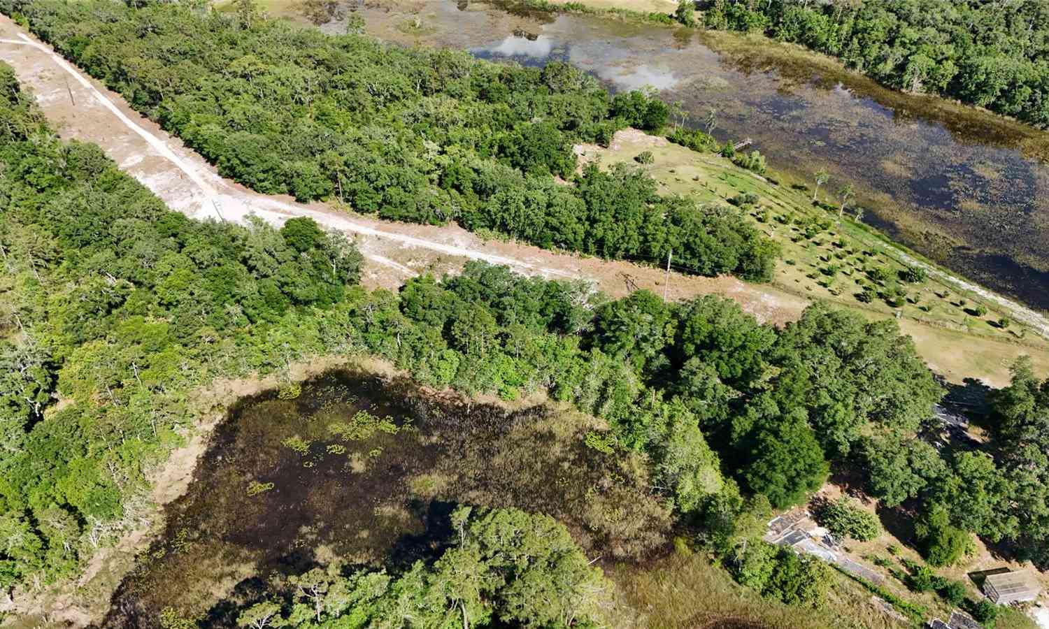 TBD 170th SE Avenue Road, OCKLAWAHA, Florida image 35