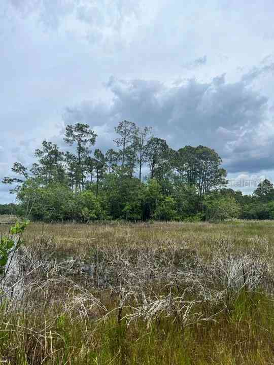 TBD 170th SE Avenue Road, OCKLAWAHA, Florida image 21