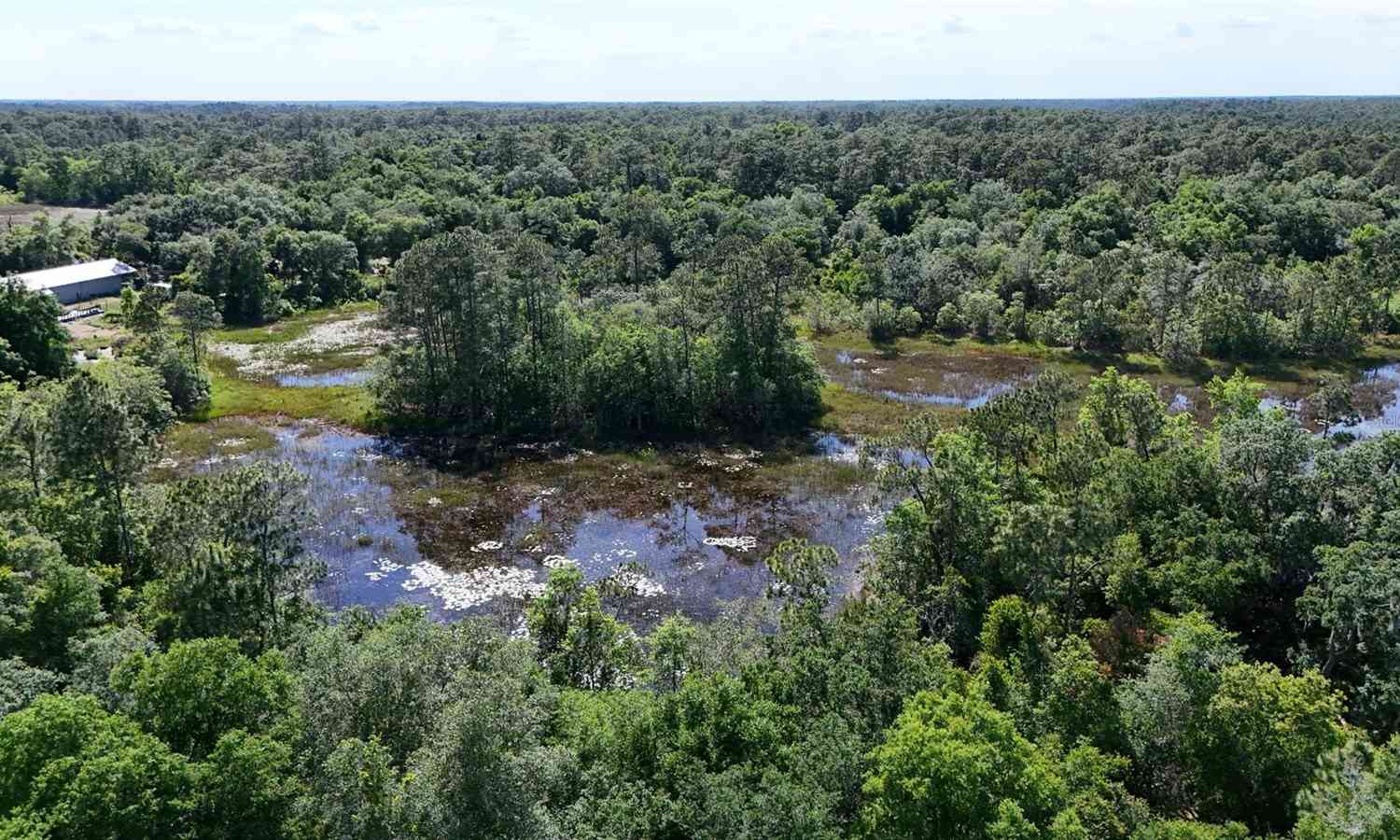 TBD 170th SE Avenue Road, OCKLAWAHA, Florida image 32