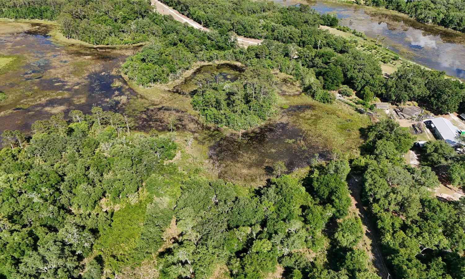 TBD 170th SE Avenue Road, OCKLAWAHA, Florida image 37