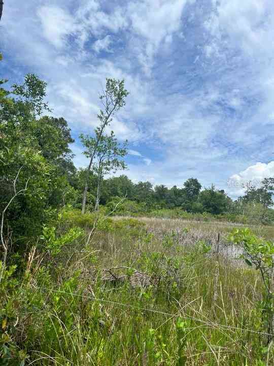 TBD 170th SE Avenue Road, OCKLAWAHA, Florida image 23