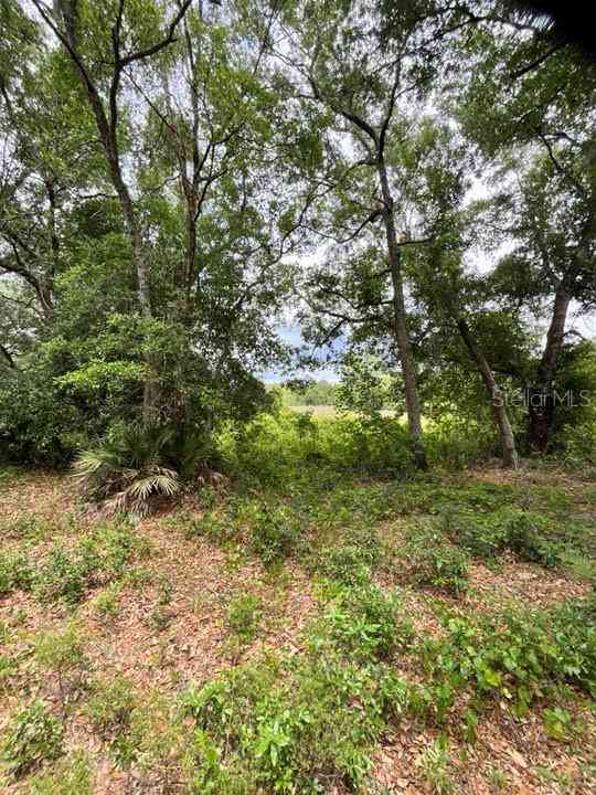 TBD 170th SE Avenue Road, OCKLAWAHA, Florida image 4