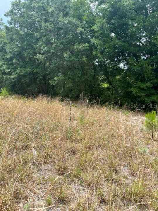 TBD 170th SE Avenue Road, OCKLAWAHA, Florida image 20