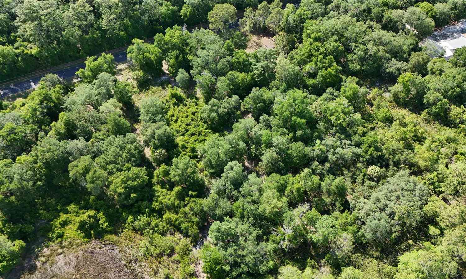 TBD 170th SE Avenue Road, OCKLAWAHA, Florida image 39