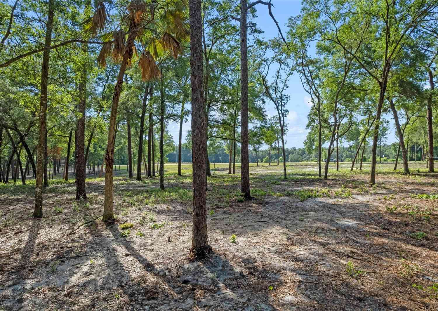 29901 State Road 44, EUSTIS, Florida image 8