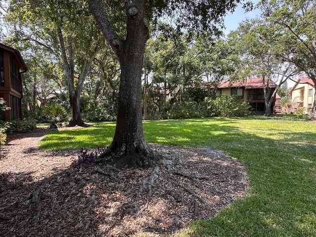 2323 Hammond Way #D, SAFETY HARBOR, Florida image 21