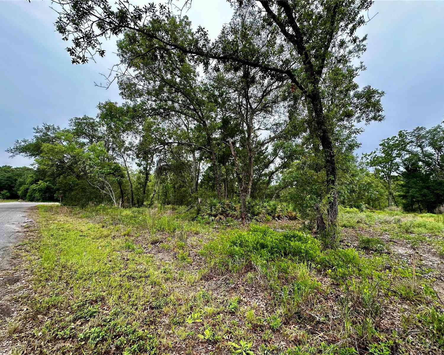 Lot 2 Guava Pl, OCKLAWAHA, Florida image 1
