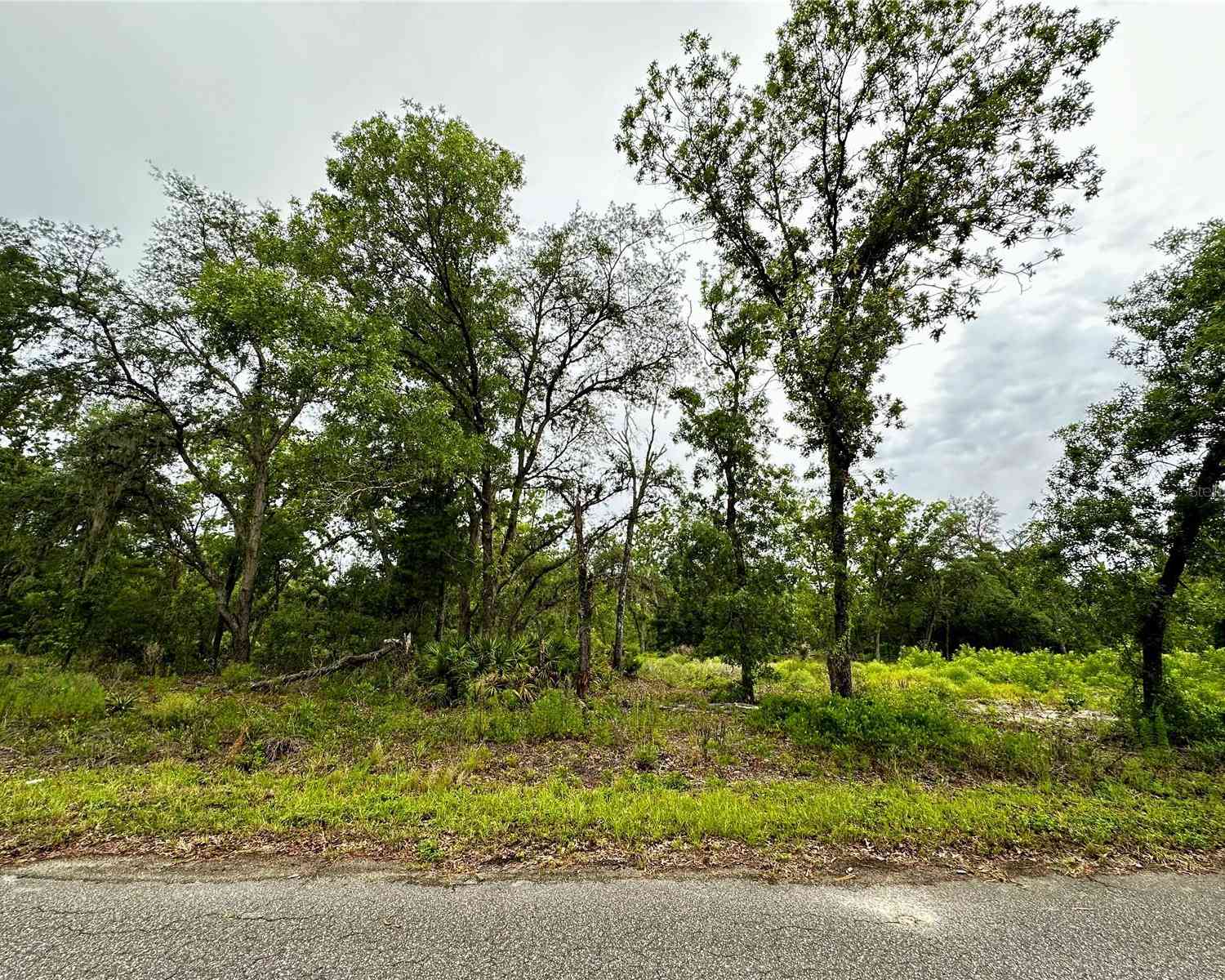 Lot 2 Guava Pl, OCKLAWAHA, Florida image 2