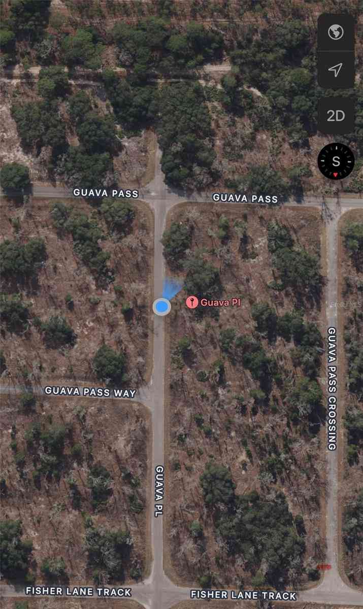 Lot 2 Guava Pl, OCKLAWAHA, Florida image 4