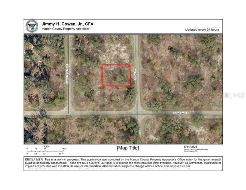 Lot 2 Guava Pl, OCKLAWAHA, Florida image 3