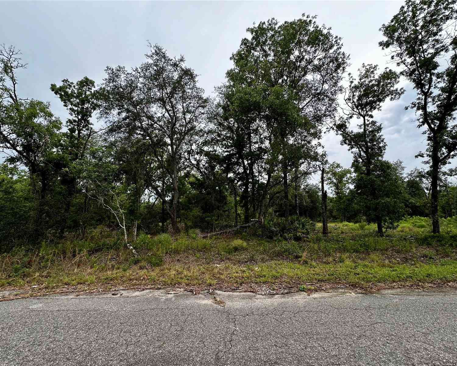 Lot 2 Guava Pl, OCKLAWAHA, Florida image 6
