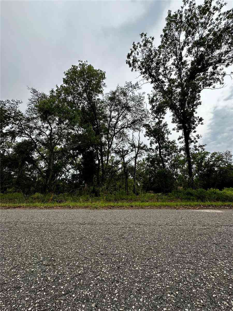 Lot 2 Guava Pl, OCKLAWAHA, Florida image 5